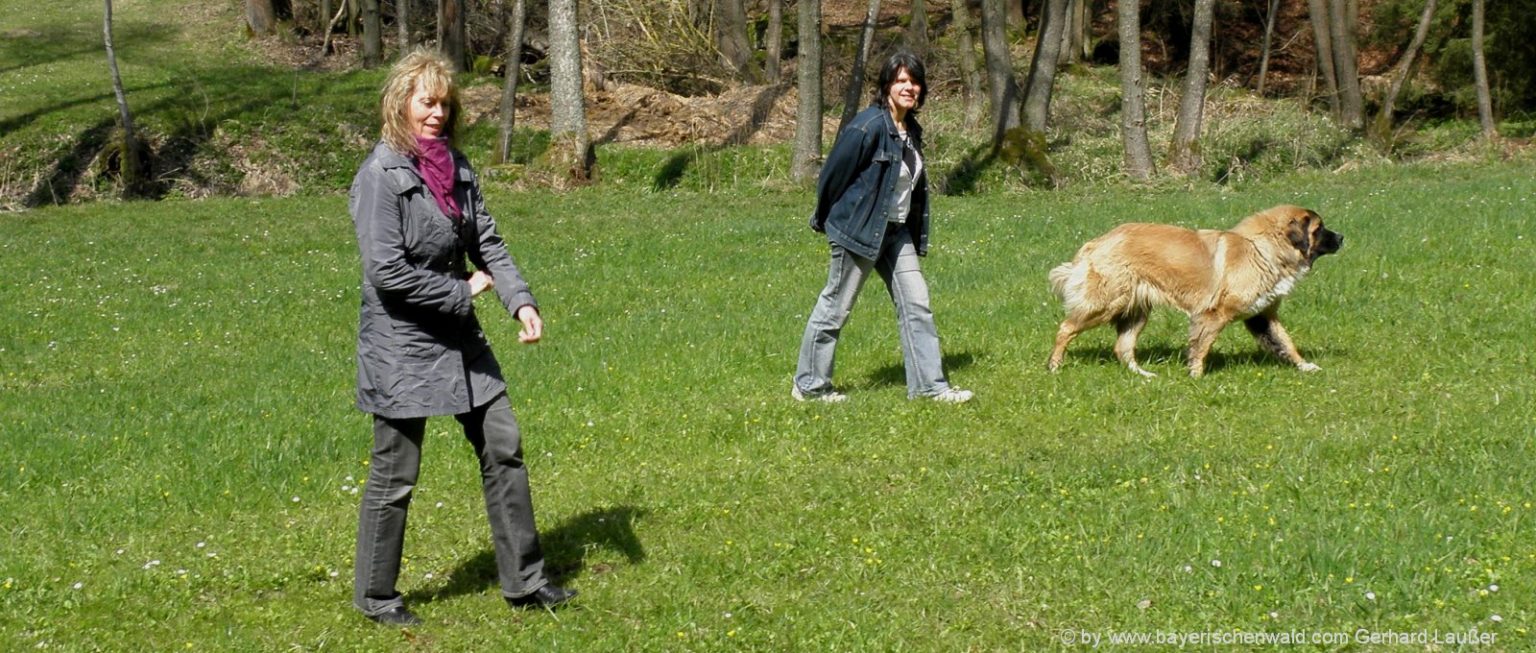 Bewegungsurlaub in Deutschland Wandern mit Hund im Wellness Hotel