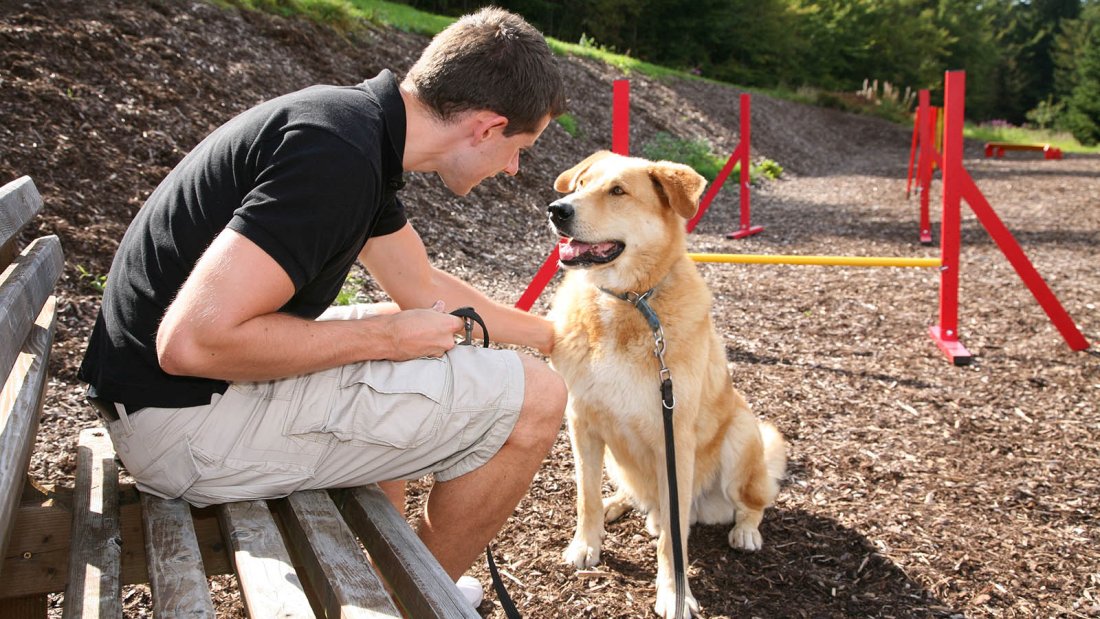 Wellnessurlaub mit Hund Wellnesshotel hundefreundliche Unterkunft Bayern